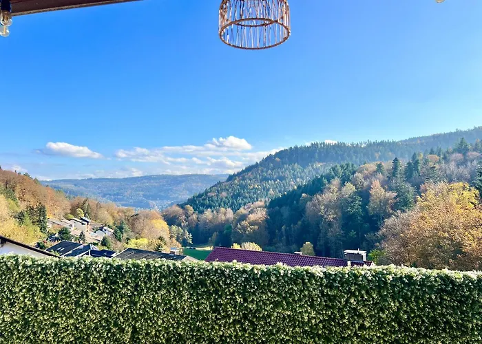 Wohnen Im Schwarzwald Mit Panoramablick
