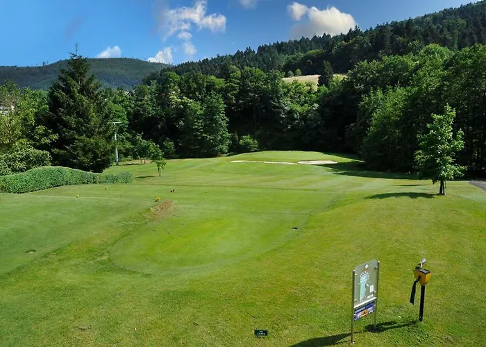 Wohnen Im Schwarzwald Mit Panoramablick
