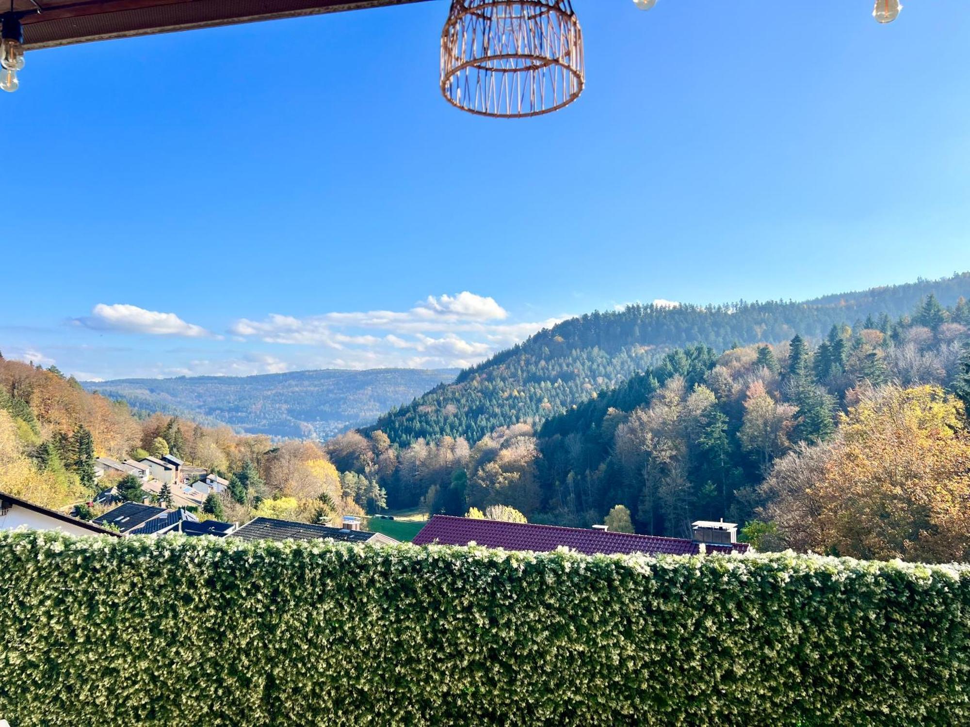Appartement Wohnen Im Schwarzwald Mit Panoramablick