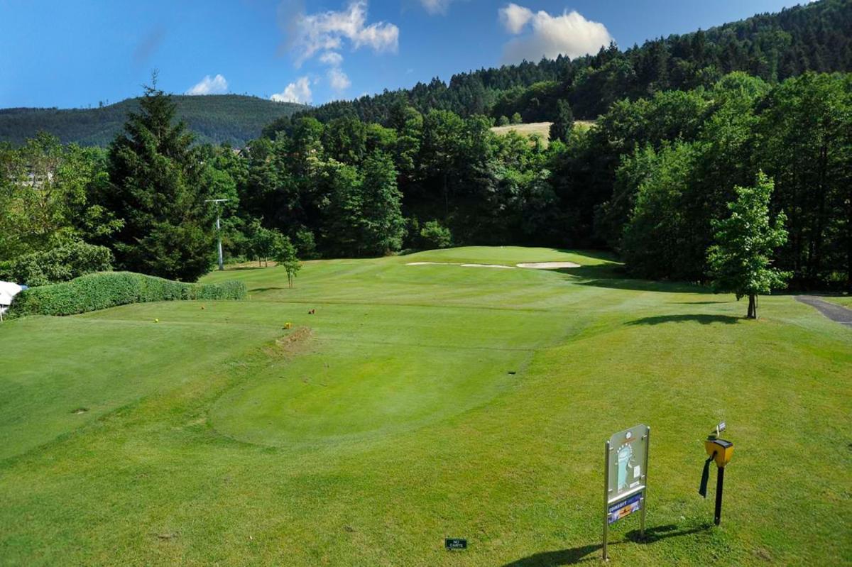 Wohnen Im Schwarzwald Mit Panoramablick Appartement