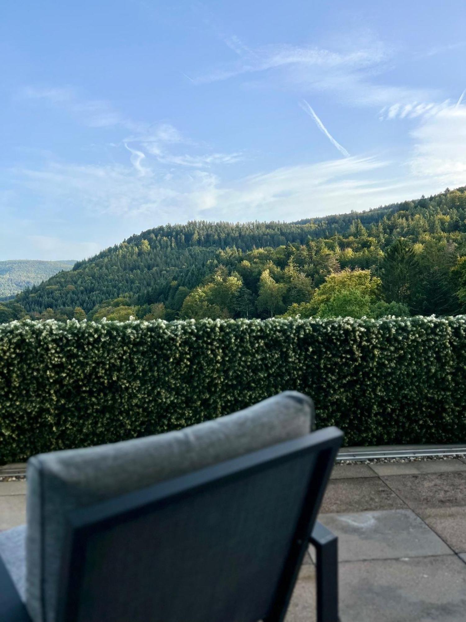 Wohnen Im Schwarzwald Mit Panoramablick Appartement