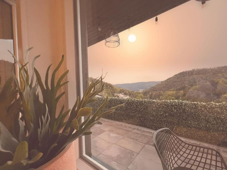 Appartement Wohnen Im Schwarzwald Mit Panoramablick